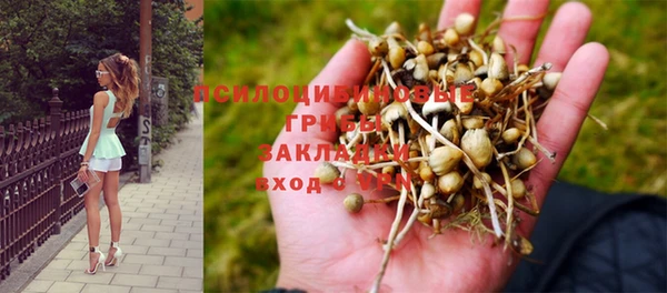дживик Куйбышев