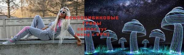 дживик Куйбышев