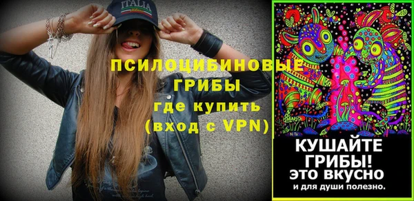 дживик Куйбышев