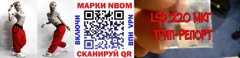 Купить закладки  Нерехта  Наркотические марки 1,5мг 