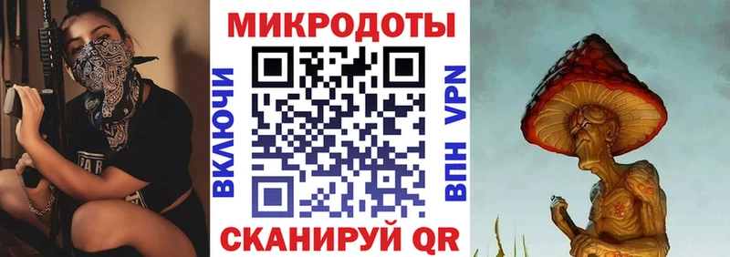 Купить где  Нерехта  Галлюциногенные грибы Cubensis 